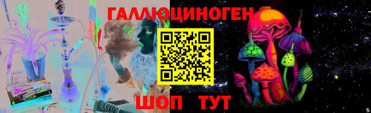Псилоцибиновые грибы Psilocybine cubensis  Вход с VPN  Камень-на-Оби  Галлюциногенные грибы ЛСД 